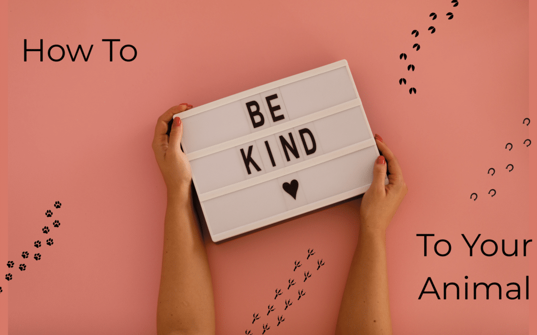 How to Be Kind to Your Animal