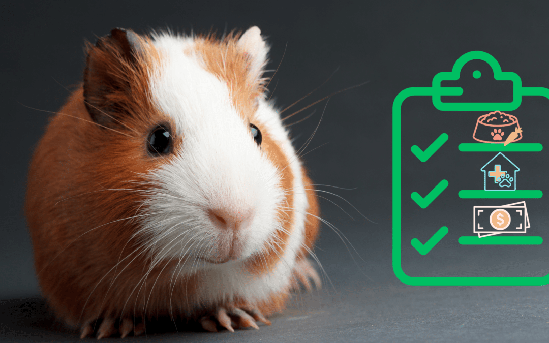 A New Pet Starter Guide
