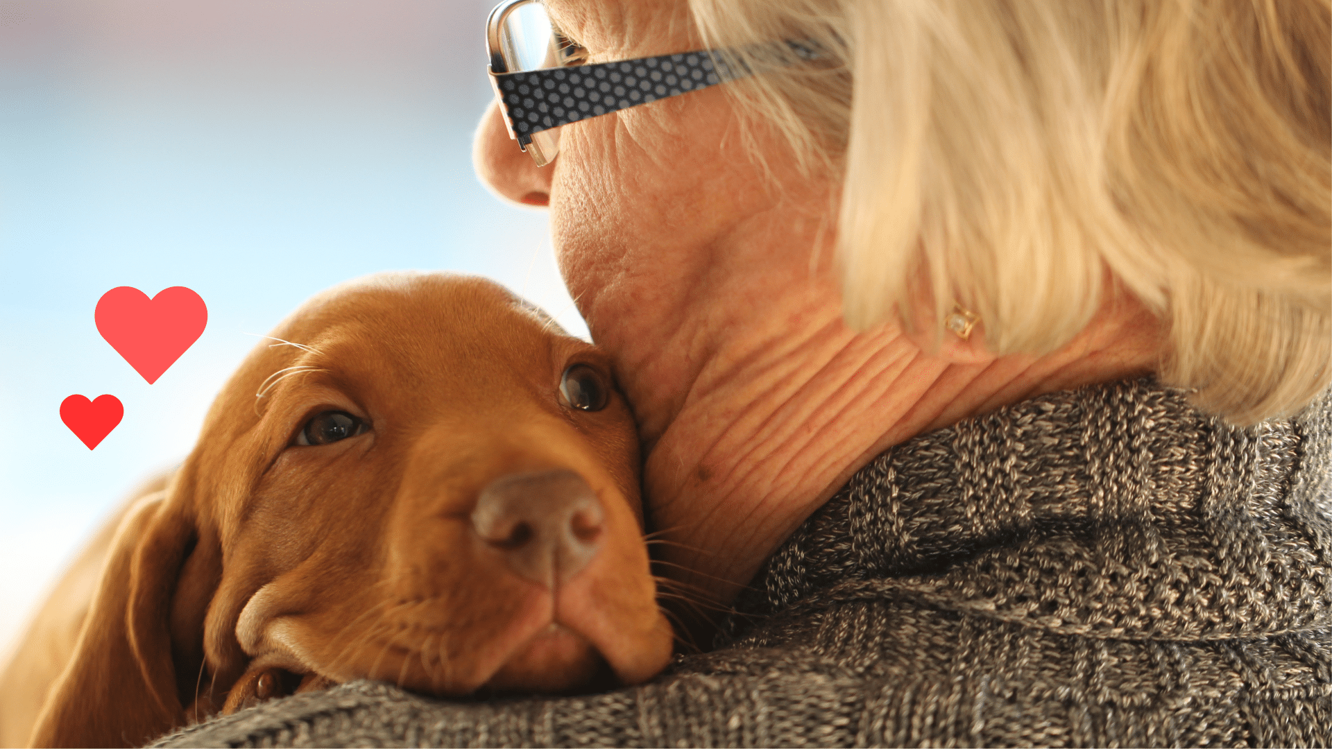 New puppy being held by an owner with support from The Pet Clinic in Biloxi